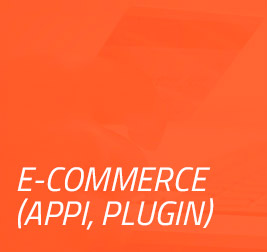 E-Commerce (Appi, Plugin)